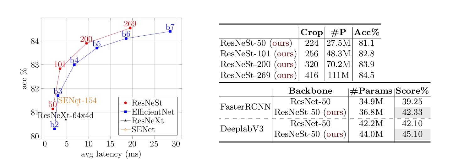 ResNeSt accuracy-latency trade-off and transfer learning results