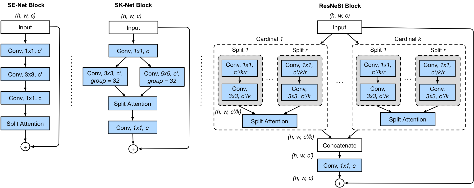 Comparing the ResNeSt block with SE-Net and SK-Net blocks (cardinality-major view)